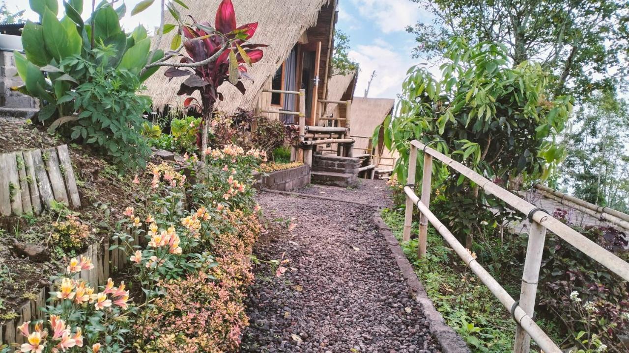 Wanagiri Campsite Gitgit Eksteriør billede